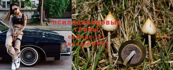 MESCALINE Майский