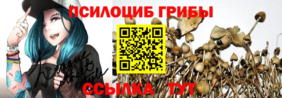 Псилоцибиновые грибы Magic Shrooms Старая Русса