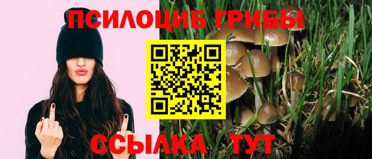 купить закладку  Галлюциногенные грибы GOLDEN TEACHER  Старая Русса  Вход с VPN  Галлюциногенные грибы ЛСД 