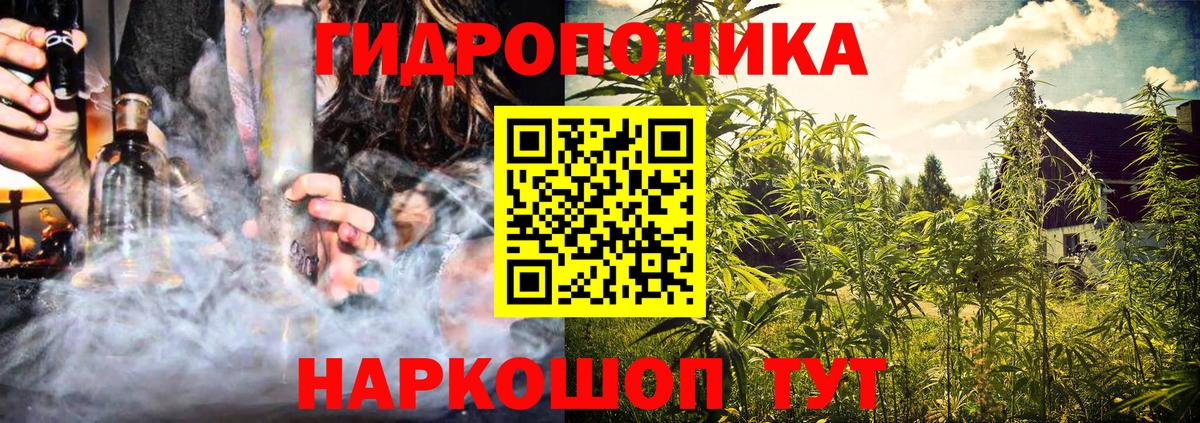 Шишки марихуана OG Kush Старая Русса